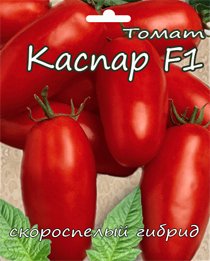 tomat-kaspar1