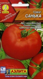 санька