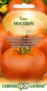 томат москвич