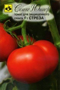 томат стреза