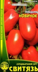 томат новичок