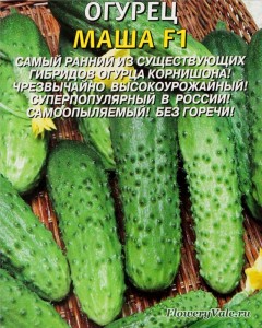 Semena_ogurzov_01