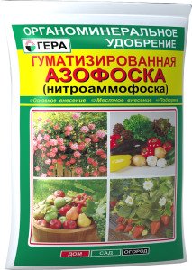 gumud_azofoska_1kg