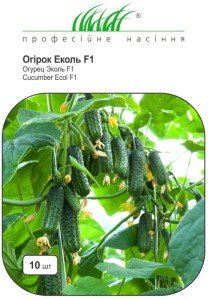 ekol