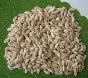 evropa1