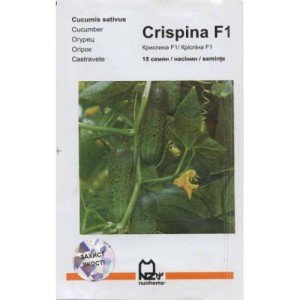 ogur krispina15