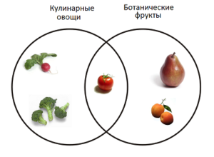 fruits_vegetables_11